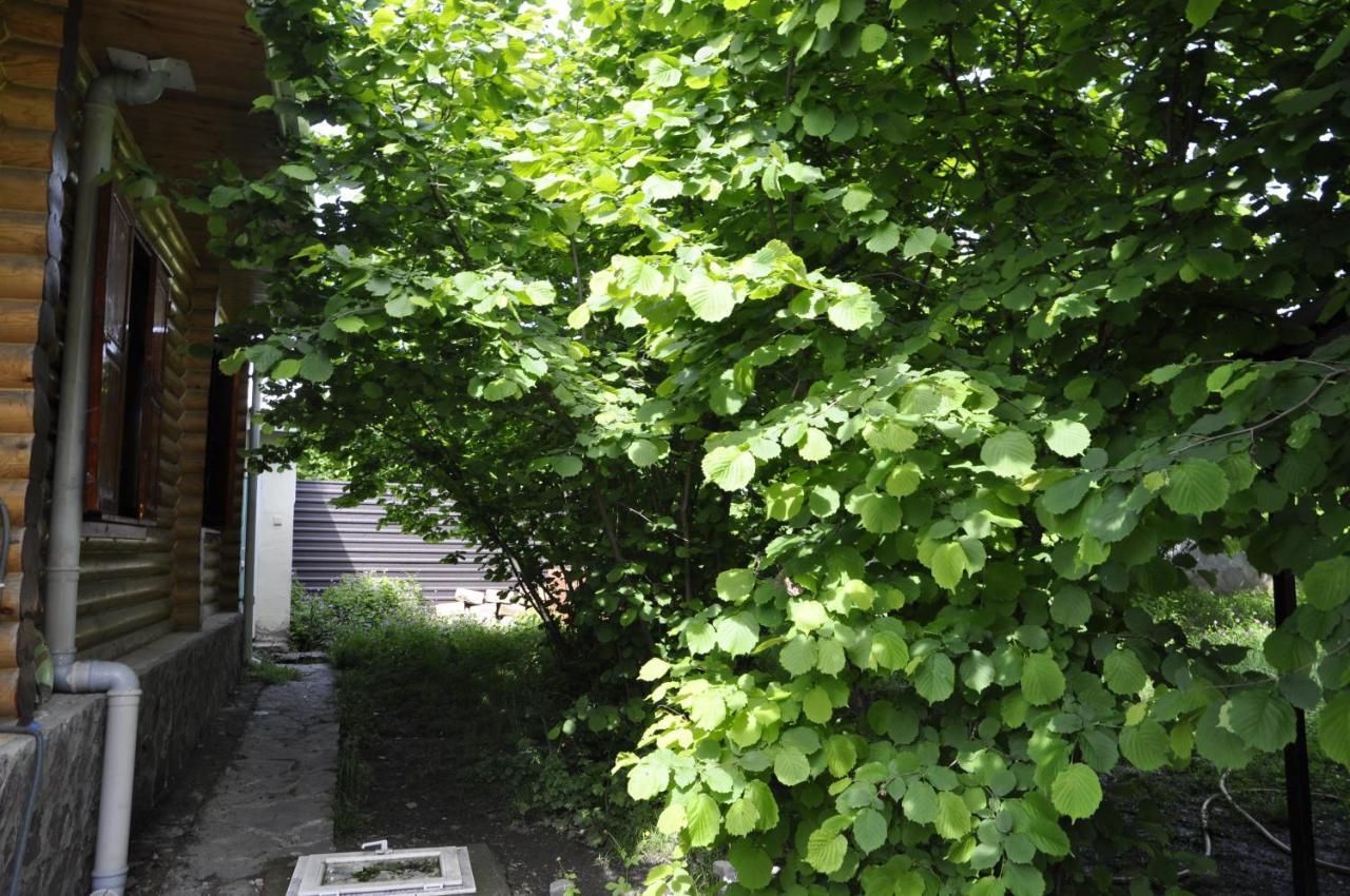 Fairy Tale Villa Gabala Exterior photo
